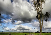 激扬旋律：欲胜欲败，充斥球场上下！